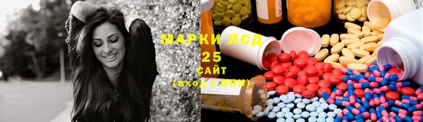 ГАЛЛЮЦИНОГЕННЫЕ ГРИБЫ Белоозёрский