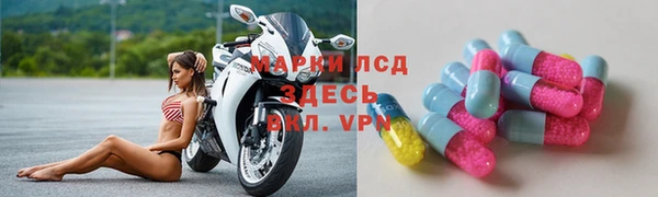 ГАЛЛЮЦИНОГЕННЫЕ ГРИБЫ Белоозёрский