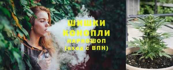 ГАЛЛЮЦИНОГЕННЫЕ ГРИБЫ Белоозёрский
